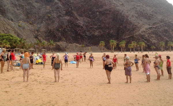 Ansinaenvejecimiento2014
