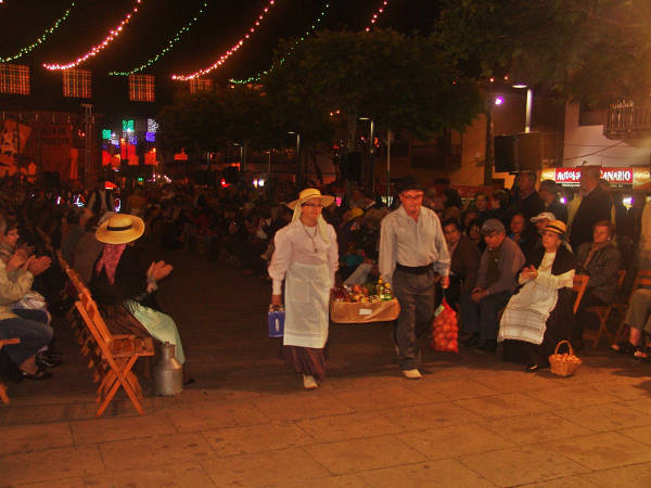 teguesteofrenda2014