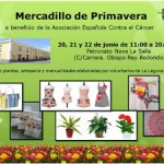 AECCmercadilloprimavera2014
