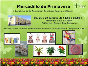 AECCmercadilloprimavera2014