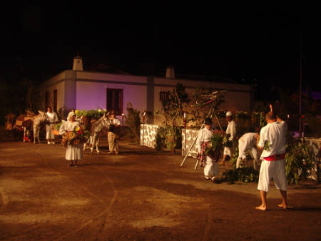 teguestelibrea2014
