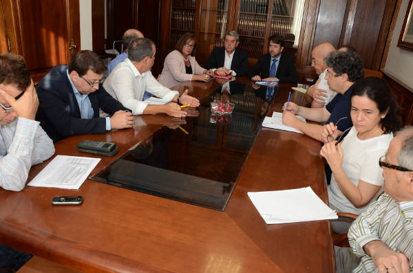 tenerifeCabildoReuniónHospitalSur2014