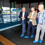 IcodVinos-Piscina-Mejoras2014