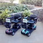 sctenerifevehiculospalmetum2014