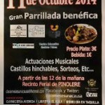 docemesesunacausa2014