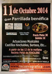 docemesesunacausa2014