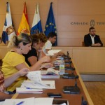 tenerifeMesaInsularIgualdad2014