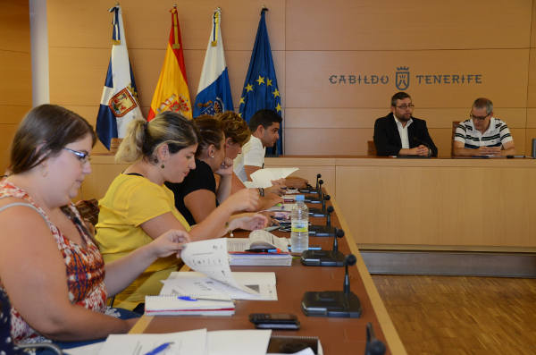 tenerifeMesaInsularIgualdad2014