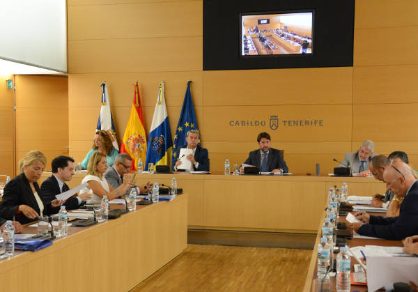 tenerifePleno5septiembre2014