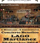 conciertosolidario2014