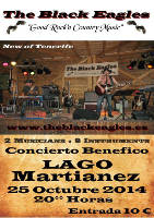 conciertosolidario2014
