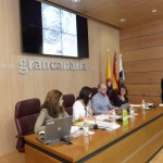 grancanariaviolenciadegenero2014