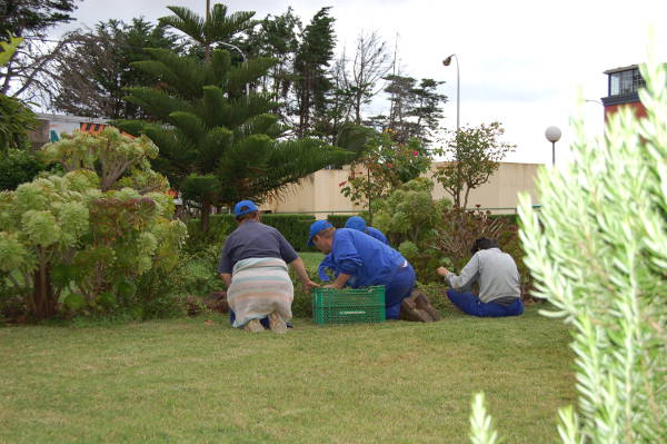 iassVERODES2014
