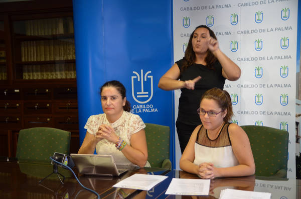 lapalmaafemsaludmental2014