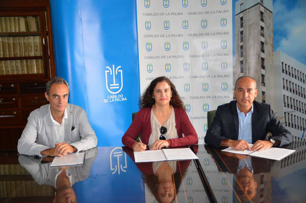 lapalmaconveniocruzroja2014