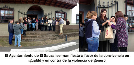 elsauzalviolenciagenero2014