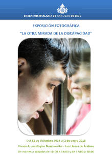 lapalmaLaotramiradadeladiscapacidad2014