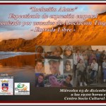 tiasCartelactividadInclusiónDID2014
