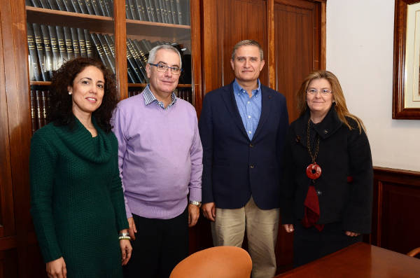 tenerifeMovilidadReuniónFepeco2015