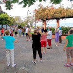 guiaisoramayores2015
