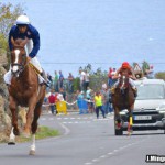 losrealejosCarreraCaballos2015