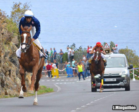 losrealejosCarreraCaballos2015