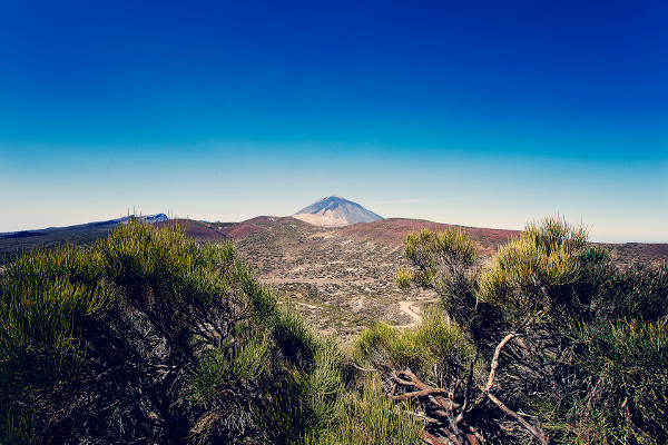 parquenacionalTeide2015