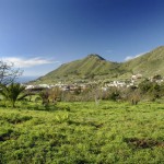 teguesteFincaZamoranos2015
