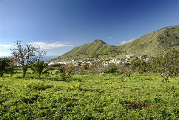 teguesteFincaZamoranos2015