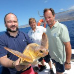 Adeje-Tortuga recuperada CRFS La Tahonilla 2015