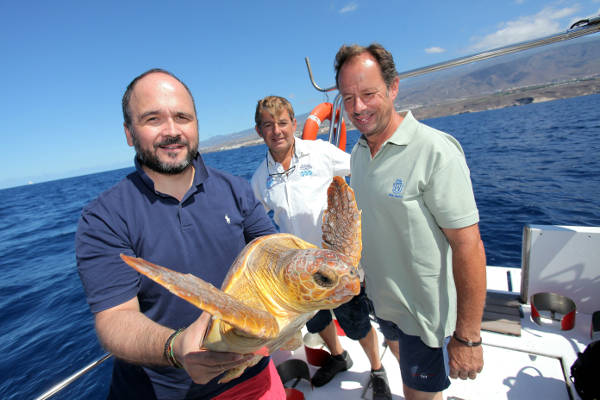 Adeje-Tortuga recuperada CRFS La Tahonilla 2015