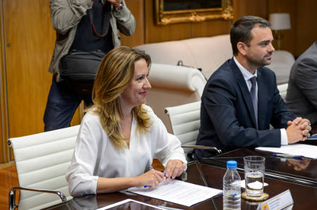 Rosa Dávila consej. hacienda gobcan2015