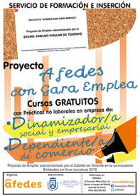 afedes gara emplea 2015