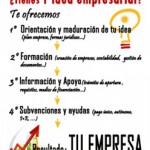 afedes tu empresa