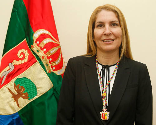 Elena cabello moya arona s.sociales 2015