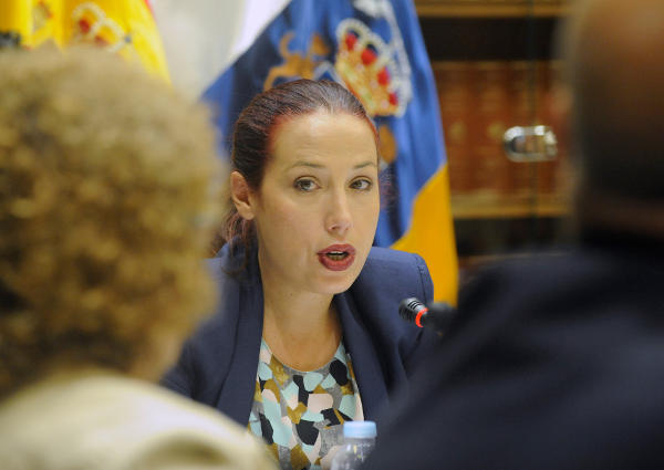 Patricia hernandez Empleo Comisión 2015