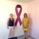 adeje sala rosa pink room 2015