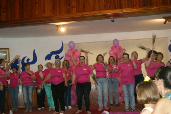 amate1-2015