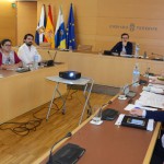 tenerife Comisión Medio Ambiente 2015