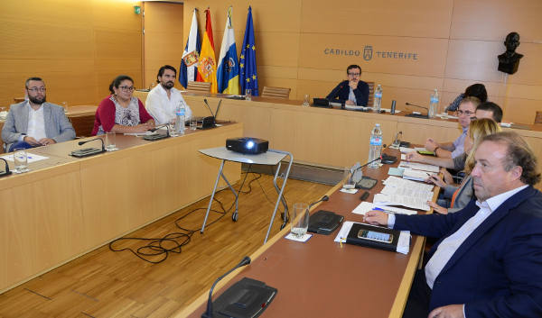 tenerife Comisión Medio Ambiente 2015