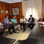 tenerife Reunión comisión hospitales 2015