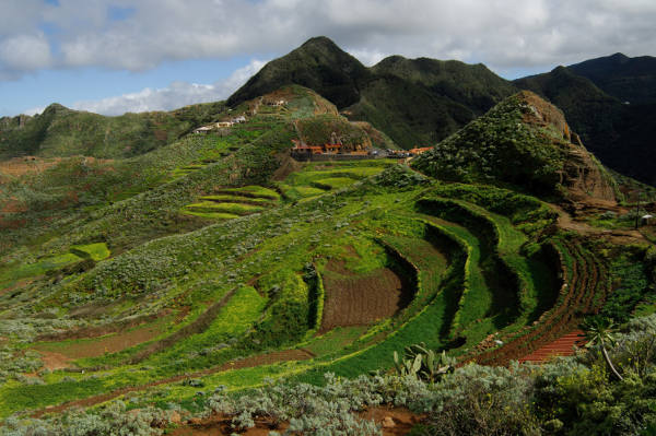 tenerife anaga Chinamada 2015
