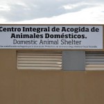 adeje CIAADA animales 2015