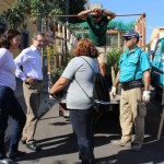 fuerteventura Repartoplantas 2015