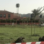 la laguna Urbanización Aguere 2015