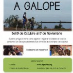 tenerife Aspronte-Campaña A Galope 2015