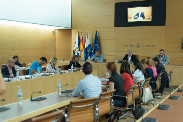 Constitución Consejo Vivienda/Tony Cuadrado Freelancer