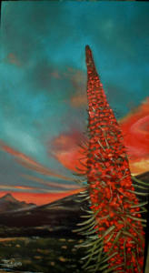 tenerife Obra Tomás García 2015