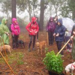 tenerife Paseo canino y repoblación 2015