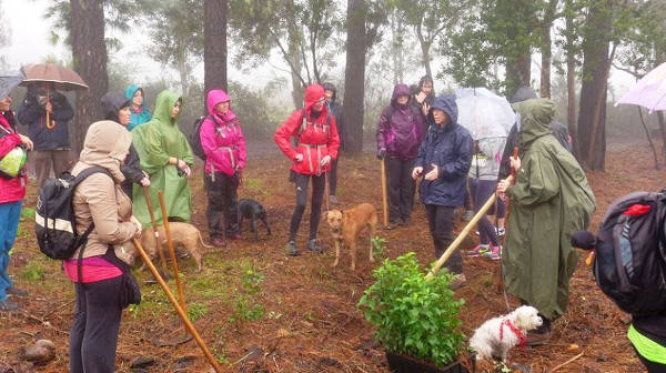 tenerife Paseo canino y repoblación 2015